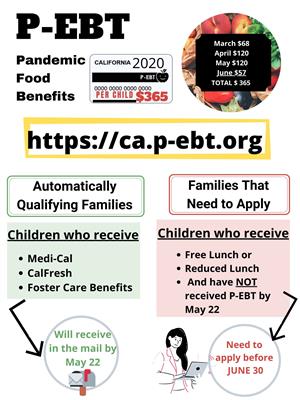 image of p-ebt info 