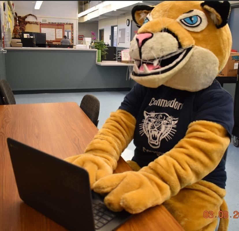 Cougar mascot sitting at a table with a computer