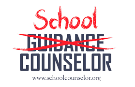 School Counselor