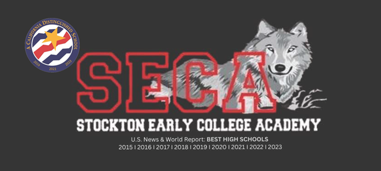 SECA Award Banner
