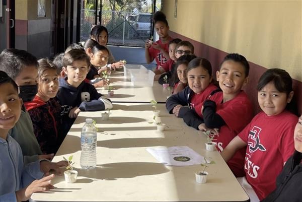 Class Science Experiment